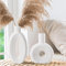 Hanaomaoyi Ovale ausgehöhlte runde Vase rustikale Home Decor einfach skandinavischen böhmischen Stil, Keramik-Vase 2 Stück Set für Bücherregal, Kaminsims und Eingang dekorative Vase (Weiß)
