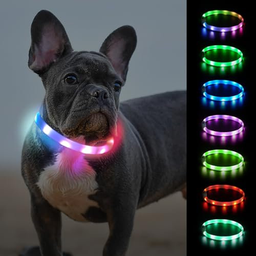 Joytale Collier Lumineux Chien, Rechargeable avec 9 Modes D'éclairage, Collier Lumineux en Silicone Iimperméable pour Petits et Moyens Chiens, 45 cm