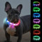 Joytale Leuchthalsband Hund, Hundehalsband Leuchtend Aufladbar, Längenverstellbar Led Hundehalsband mit 9 Leuchtmodi, Regendicht Hunde Leuchthalsband für Kleine und Mittlere Hunde, 45 cm