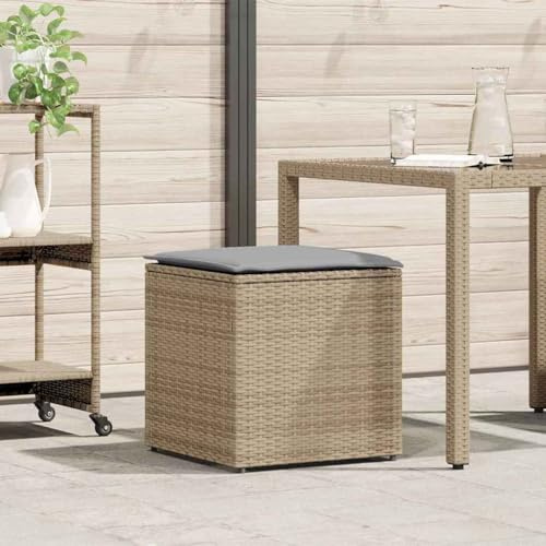 Frdhee Kasten Aufbewahrungskiste Mit Deckel, Kissenbox mit Speicher Beige 50 x 50 x 50 cm Poly-Rattan für Sitzauflagen, Gartengeräte