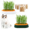 HOMURY Katzengras Tablett Wachstumsset: Kunststoff Bequem Katze Gras Fall, 2 Stücke Hydroponik-Katzengraskasten mit 6 Tasche Seed, Katzengras-Keimschale Für Katzenhunde Haustiere