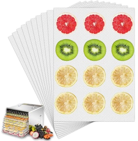 GXGM 10 Piezas Hojas De Silicona Para Deshidratador, Cuadradas 26 * 17cm, Reutilizables Para deshidratador de alimentos,Deshidratador De Frutas Y Alimentos(B)