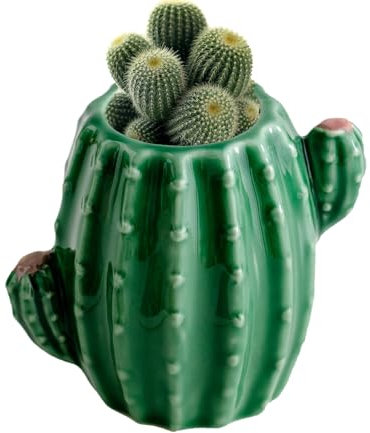 Cactus Vase Ceramic, Decorative Flower, Small Tabletop Arrangement Holder, 4.33x3.94 Inches, Cactus Shape Accent, for Desk, Shelf, Home Decoration, Long Lasting