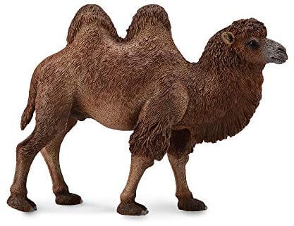 Collecta - Hemd Bactariano - L - 88807 (90188807)