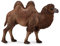 Collecta - Hemd Bactariano - L - 88807 (90188807)