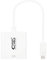 Nano Cable 10.16.4103 - Conversor USB-C a DVI-D (USB-C/M-DVI-D/H 24+1), Dual Link, Color Blanco