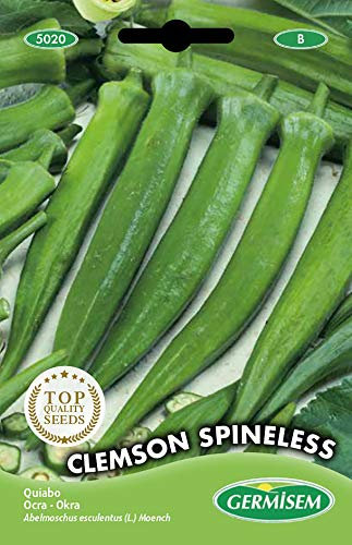 Okra Clemson Spineless