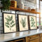 3er Watercolor Herb Wall Art Poster Set - Vintage Farmhouse Style Leaf Poster Für Schlafzimmer, Küche & Home Office Decor (30x40cm)