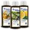 Spitzner Saunaaufguss Set zur Stärkung der Abwehrkräfte (3 x 190ml)