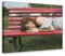 EFEZAC Isabelle Geffroy Zaz Poster 11 Leinwand Poster Schlafzimmer Dekor Sport Landschaft Büro Zimmer Dekor Geschenkrahmen Stil 40 x 60 cm