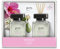 ipuro - Essentials Raumduft FLOWER BOWL 2x50ml | Raumerfrischer mit Blumenduft, Mandarine, Bergamotte, Jasmin, Veilchen & Zedernholz Duft Aroma | Diffuser mit Stäbchen | Lufterfrischer für die Wohnung