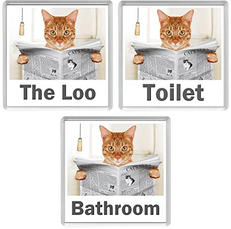 GINGER TABBY CAT READING A NEWSPAPER ON THE LOO Novelty Acrylic Toilet Door Sign (3 WORDINGS)