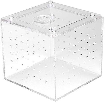 1 Stück Reptilien-Zuchtbox, Reptilien-Terrarium-Futterspender, Schlangen, Spinnen, Eidechsen, Zucht-Acryl-Box, Insektenhaus Für Vogelspinnen, Geckos, Grillen