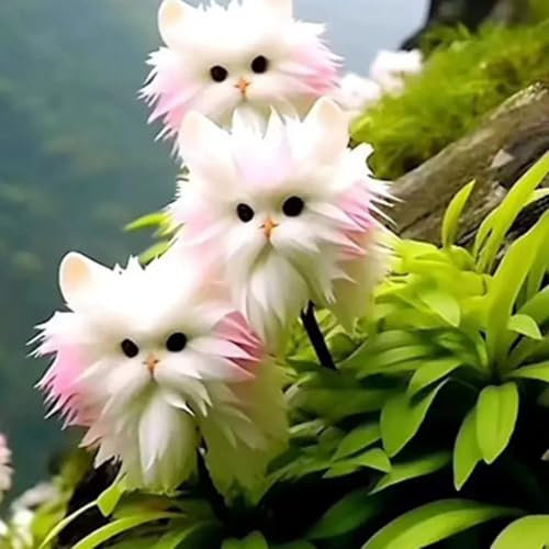 Graines d'Orchidée Chat - 100 Graines d'Orchidée, Fleurs Vivaces à Planter | Graines de Fleurs pour Intérieur et Extérieur (D)