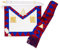 THE MASONIC COLLECTION – Royal Arch Companions-Schürze und Schärpe mit Juwel – Goldbarrendraht – Ideale Freimaurer Geschenke für Männer