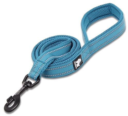 Truelove Reflective Padded Nylon Dog Training Lead, Blue, S(100cm) | Alloy Swivel Hook, Ergonomic Padded Grip, Tear Resistant Webbing, Reflective Night Strap, All Dog Breeds, Walking & Training