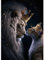 RICUVED Löwe König Diamond Painting Bilder, 5D Tiere Diamant Painting Bilder Erwachsene Diamant Malerei Bilder Set Full Drill Löwe Diamond Painting Cross Stickerei Malerei Set 30x40cm
