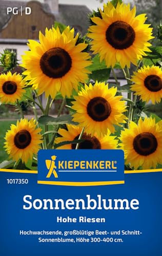 Kiepenkerl Sonnenblumensamen Hohe Riesen 1017350 - Blumensamen für hochwachsende Beet- und Schnitt- Sonnenblumen mit einem Inhalt für 15 Pflanzen - Saatgut