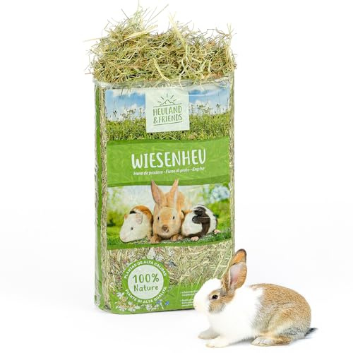 Heuland Foin de prairie 1 kg - Pour lapins, cochons d'Inde et lapins - Foin naturel de qualité supérieure issu de prairie riche en espèces - Séché au soleil - Haute teneur en fibres brutes - Pour la