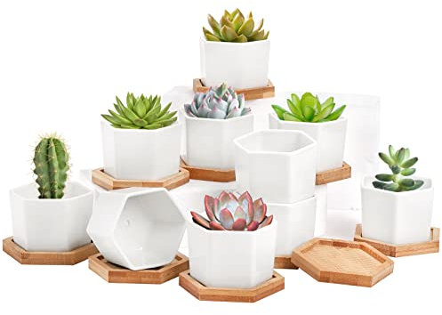 Foraineam Paquete de 6 Mini macetas para suculentas, macetas hexagonales de cerámica Blanca de 2.75 Pulgadas con Bandeja de bambú