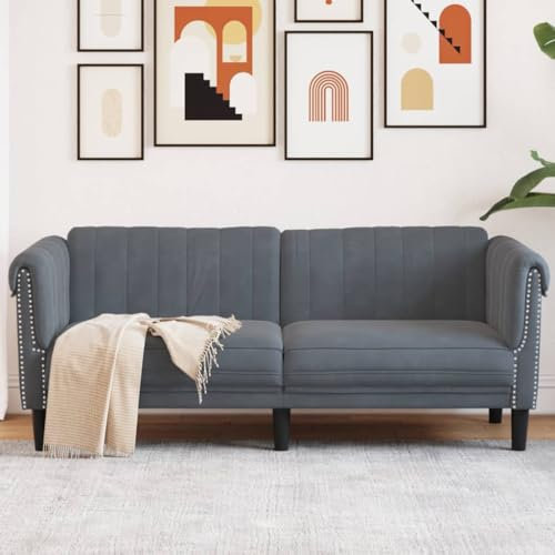SECOLI Sofa 2 sitzer Sofa 2er Sofa 2 sitzer skandinavisch Sofa 2 sitzer Samt für Zuhause und Büro-Dunkelgrau-2-Sitzer