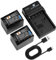 DSTE NP-FV70 Lot de 2 batteries et chargeur compatibles avec Sony DCR-SX21, DCR-SX44, DCR-SX45, DCR-SX63, DCR-SX65, DCR-SX83, DCR-SX85, FDR-AX100