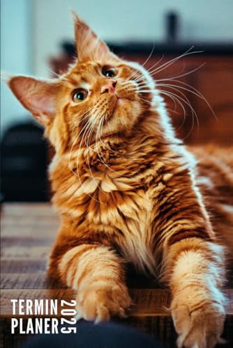 Terminplaner 2025: Katzen - Taschenkalender | 12 Monate | Wochenplaner, Terminkalender von Januar bis Dezember 2025 Ideal für Studenten, Berufstätige ... | Monatsplaner, Kontaktliste, Notizen