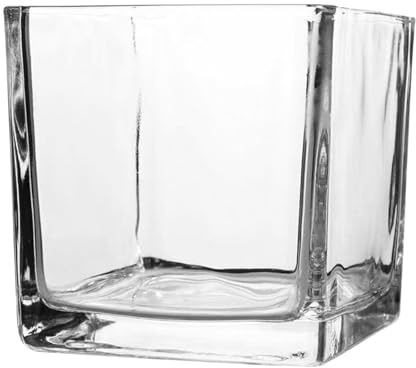 Vaguelly Modern Cube Glass Vase Thickened Square Glass Plant Pot with Sturdy Design for Hydroponic Plants and Flowers for Kitchen and Restroom Décor
