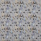 Kt KILOtela - Canvas Dekostoff, Home-Accessoires, Leichte Polsterung, Tischdecken, Kissen, Vorhänge, Taschen, 100 cm Länge x 280 cm Breite, Hunde, Blau, Grau, Braun - 1 Meter