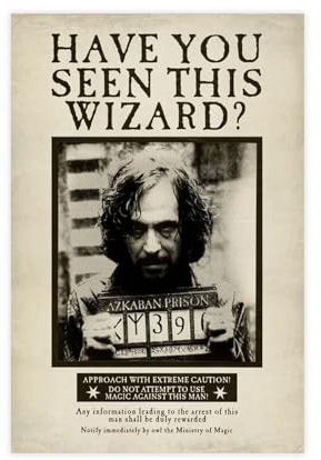 Leinwandposter Have You Seen This Wizard, Wandkunst, Dekor, Bild, Gemälde für Wohnzimmer, Schlafzimmer, Dekoration, ungerahmt, 40 x 60 cm