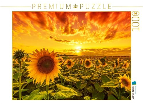 CALVENDO Puzzle Sonnenblumenfeld in Reform | 1000 Teile Lege-Größe 64 x 48 cm Foto-Puzzle für glückliche Stunden