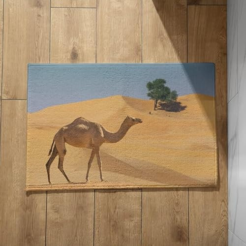 Ethereval Eingang Teppich Fußmatte Innen Sauberlaufmatte Einbau Kamel Schmutzfangmatte Wash Dry Türmatten Haustür Außen 40X60cm