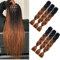 kunsthaar zum einflechten brown Kanekalon Kunsthaar Hair Jumbo Braids Extensions Ombre Braiding Hair Haarverlängerung 6packs Box Braids Crochet hair(schwarz- Dark Brown)