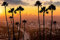 adrium Acryl-Bild 110 x 70 cm: Skyline der Innenstadt von Los Angeles, Stadtbild von LA, Vereinigte Staaten(167262437)