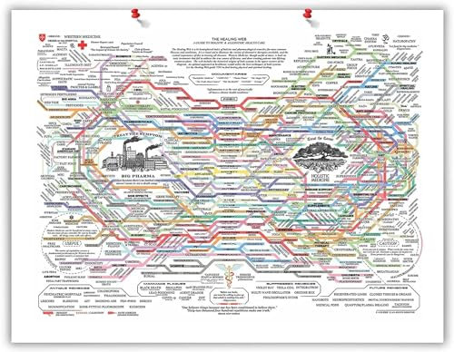 Renyqatt Poster The Healing Web, traditionelle Therapien für Gesundheitsprobleme, gedruckt auf Poster, Wandkunst, Heimdekoration, 40 x 60 cm, ungerahmt
