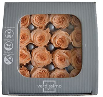 Verdissimo Rose stabilisées Mini X16 Special pêche