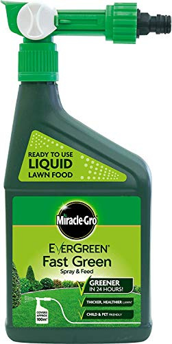 EverGreen Spray and Feed Lawn Food Spray, 1 L (3)