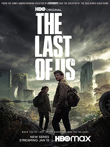 The Last of Us Poster 30 x 40 cm
