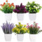 crayfomo Lot de 6 petites plantes artificielles dans des pots de fleurs artificielles d'intérieur avec pot en plastique pour la maison, le bureau, la décoration de table (fleur)