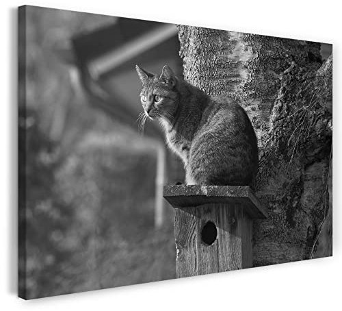 Printistico Leinwandbild (30x20cm) Katze, Garten Haustier Jagd, schwarzweiß, Tier-Fotos, Natur-Fotografie, echter Holz-Keilrahmen inkl. Aufhänger, handgefertigt in Deutschland