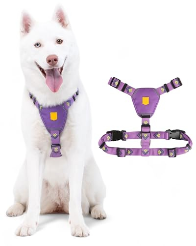 Woolly Wolf Northern Lights Hundegeschirr für kleine Hunde S – Geschirr mit 5-Punkt-Anpassunsgsystem aus 100% recyceltem Polyester, Reflektoren für mehr Sichtbarkeit