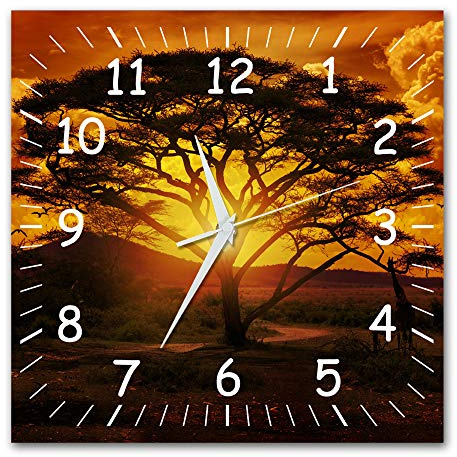 Bilder-Manufaktur BM Funk Quarz Wanduhr Funkwanduhr Funkwanduhren Funkuhr Funkuhren kein Ticken lautlos geräuschlos leise modern ohne Tickgeräusche groÃŸ XXL Wohnzimmer Küche Afrika Wildnis 9313-1a WZ