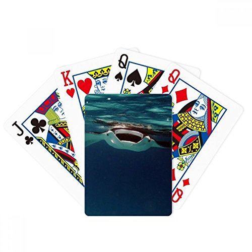 Ocean Ray Skate Science Nature Picture Poker Playing Magic Card Fun Brettspiel