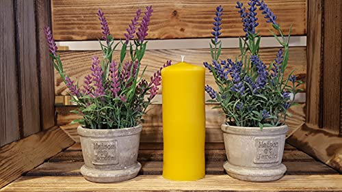 Großer Stumpen (2 große Stumpen)