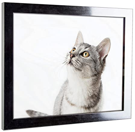 myposterframe Komfort Juno 60 x 90 cm Rahmen Silberglanz Vintage