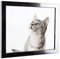 myposterframe Komfort Juno 60 x 90 cm Rahmen Silberglanz Vintage