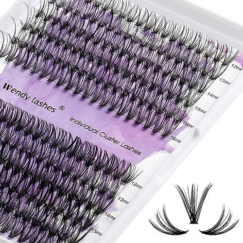 Wendy Lashes Wimpern Cluster Wimpern Extensions Cluster Lashes DIY Wimpern 12-16mm C Curl Cluster Wimpernverlängerung Wimpern Cluster Einzelne Wimpern DIY Wimpern zu Hause(20D+30D-C-MIX12-16)