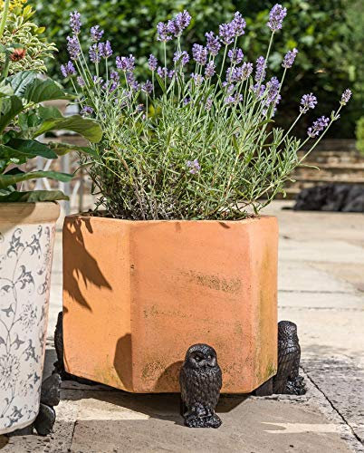 Potty Feet Owl Figures Plant Pot Feet - Planter Support - Handmade Decorative Ornaments - 3pcs