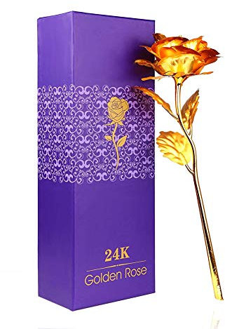 WeFoonLo Creative Artificial 24K Gold Rose Flower Plastic Real Rose immerso in Oro con Confezione Regalo per la Festa della Mamma, Compleanno, Giorno del Ringraziamento (Oro)