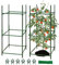 Meiwlong 81cm Tomatenkäfig Gemüse Spalier Zusammengesetzte Garten Pflanzen Stanzen Unterstützung Rahmen Kit Verbindungsstücke Krawatten Clips Gurken Rebe Klettern im Freien